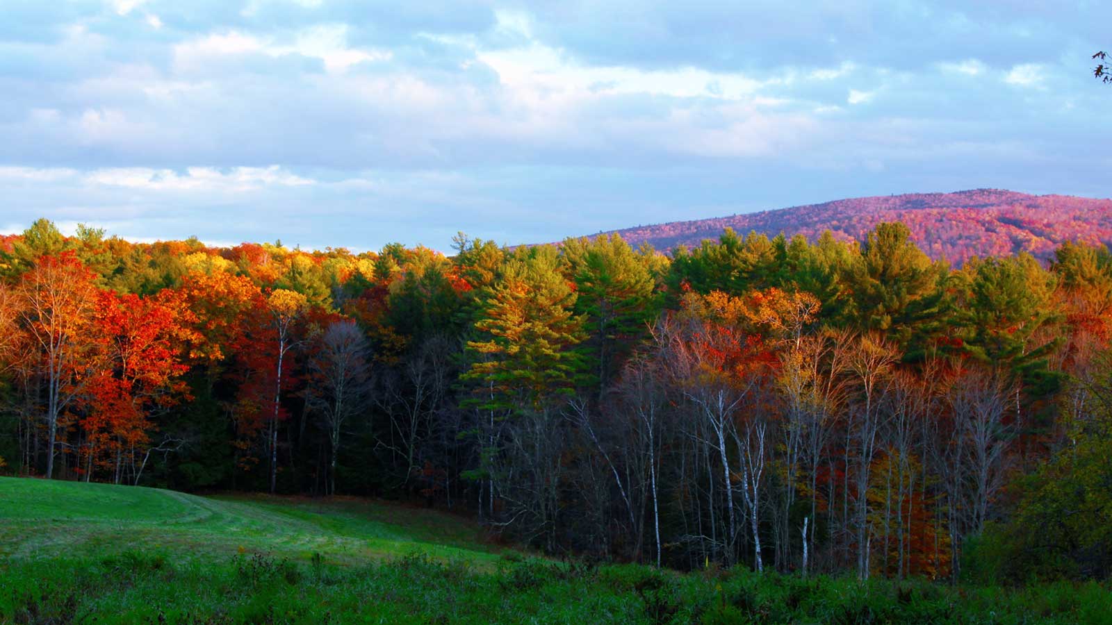 NH Upper Valley